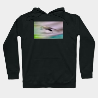 Coati / Swiss Artwork Photography Hoodie